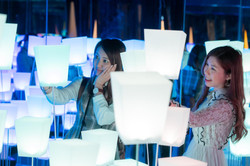 6b72a637-d596-4519-a4ba-44f8ab651e7a